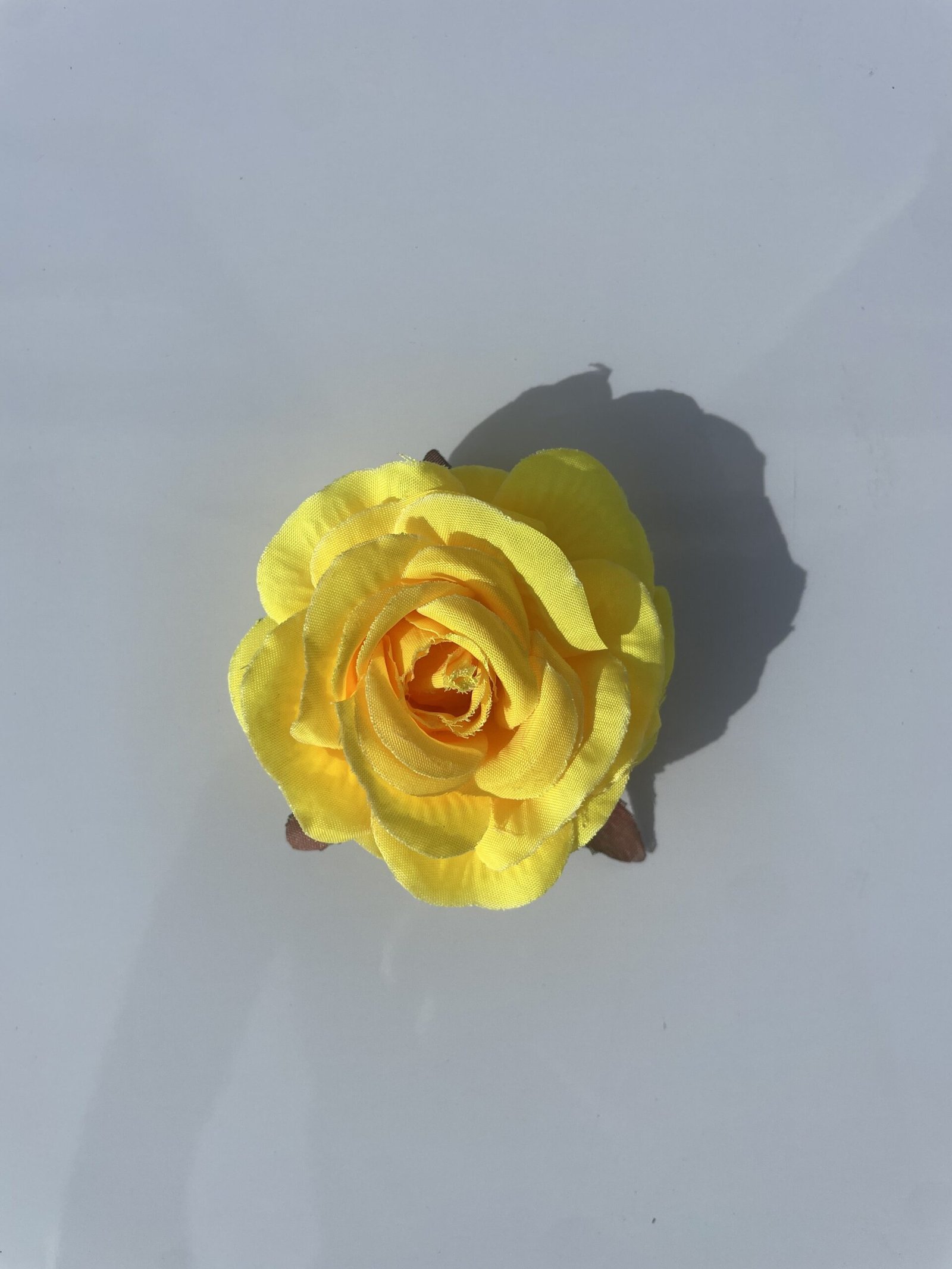 Silk Rose — view 4