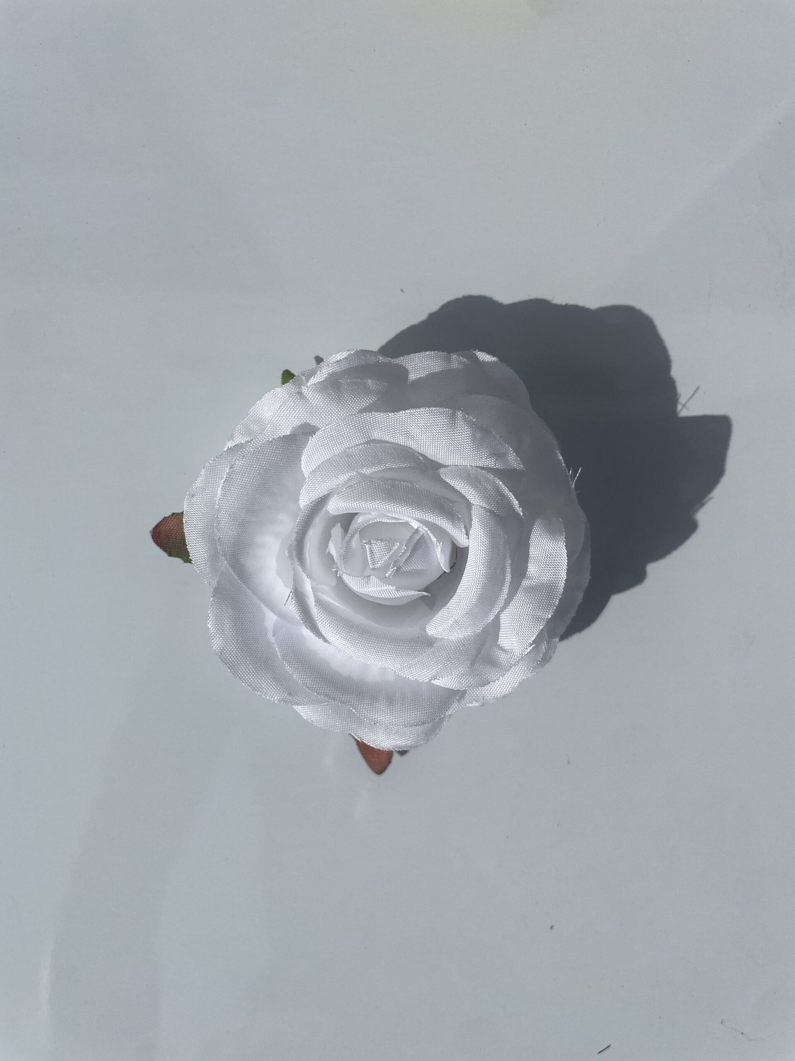 Silk Rose — view 3