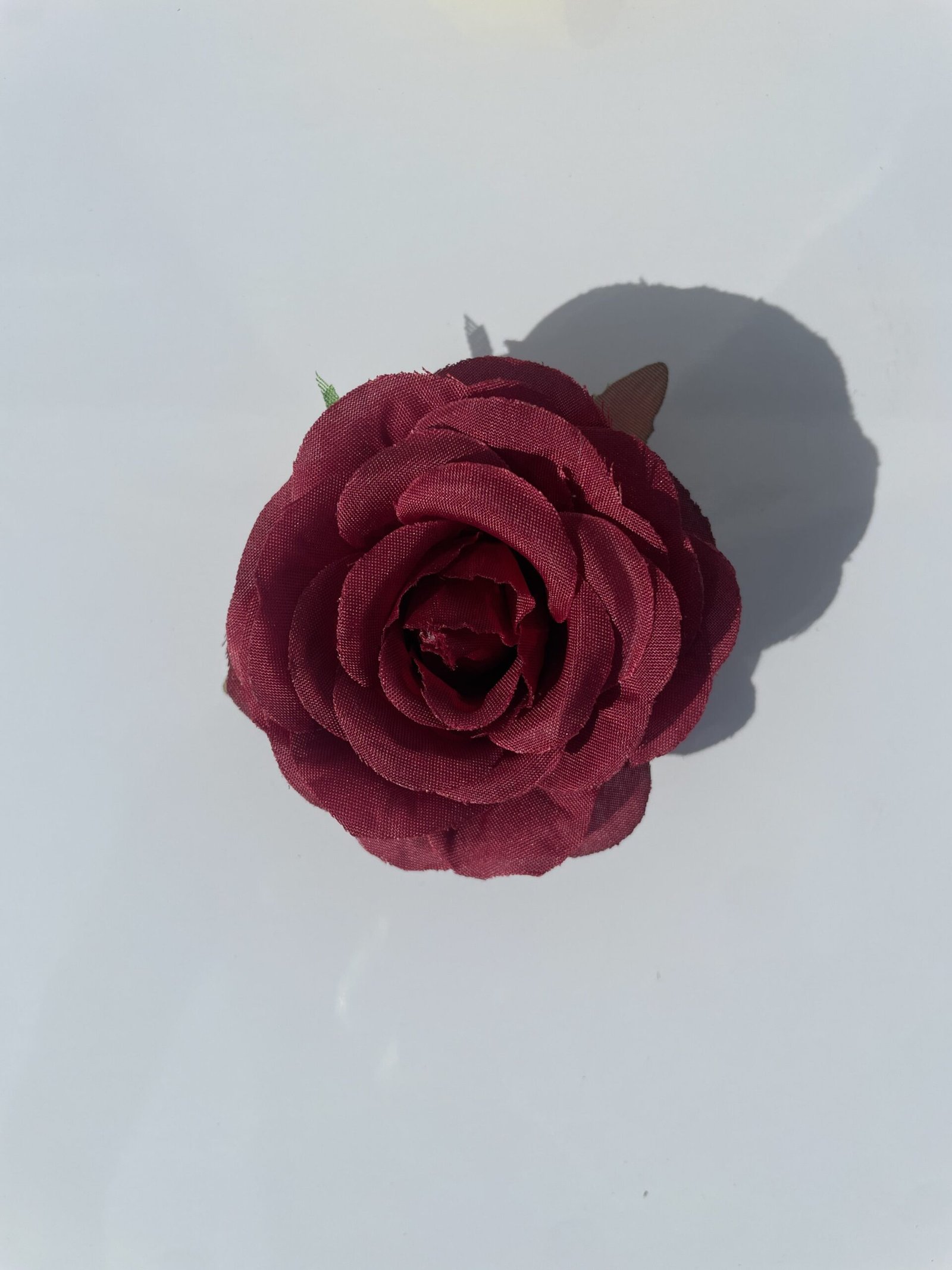 Silk Rose — view 2